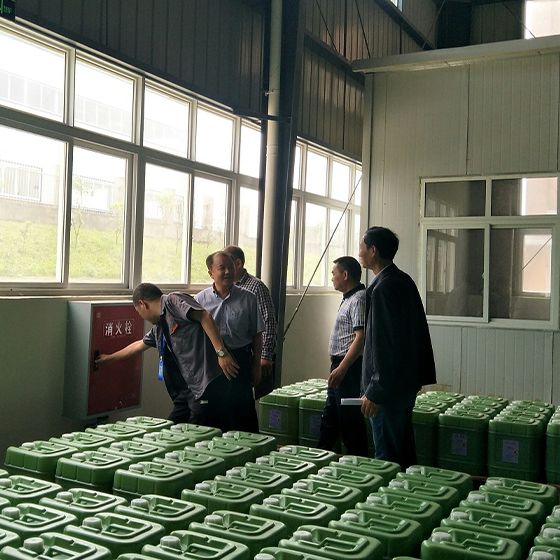 Mayor Xu and a delegation from the municipal government visited our factory for a survey. Mayor Xu and a delegation from the municipal government visited our factory for a survey.