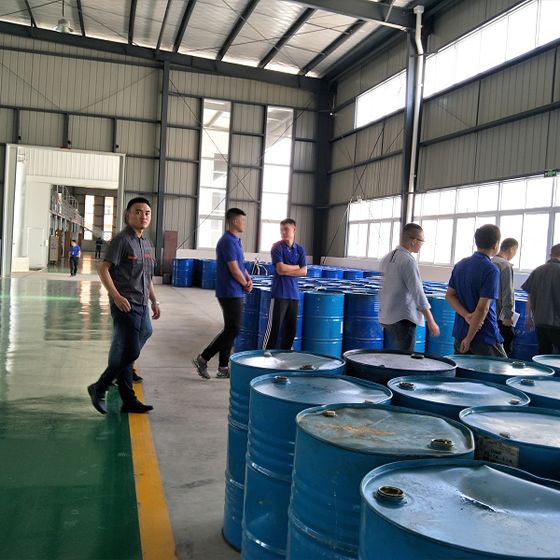 Haelide company came to our factory for a field trip Haelide company came to our factory for a field trip
