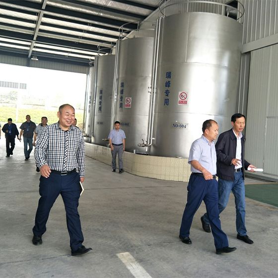 Mayor Xu and a delegation from the municipal government visited our factory for a survey. Mayor Xu and a delegation from the municipal government visited our factory for a survey.