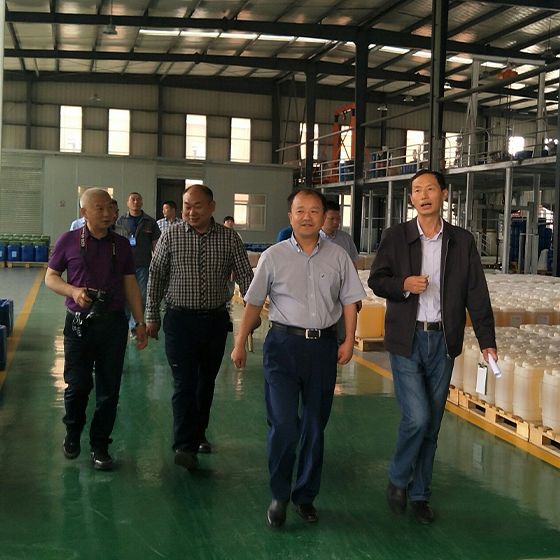 Mayor Xu and a delegation from the municipal government visited our factory for a survey. Mayor Xu and a delegation from the municipal government visited our factory for a survey.