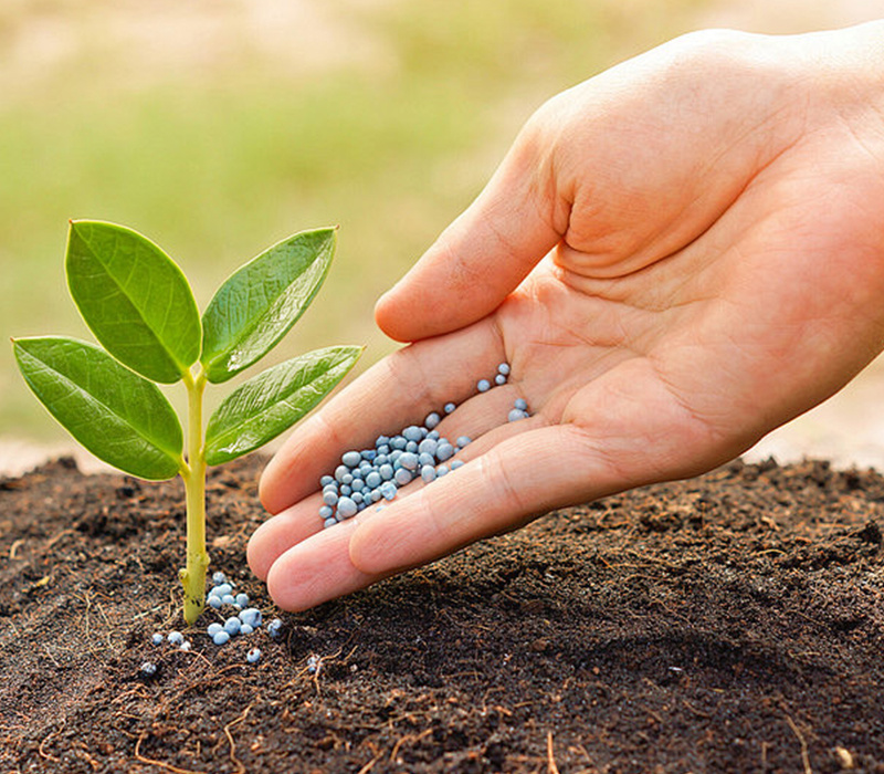fertilizer fertilizer