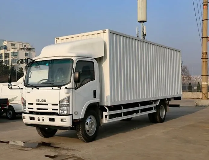 5t 1suzu 4X2 700p Single Row Light Duty Van Truck Box Truck for Sale