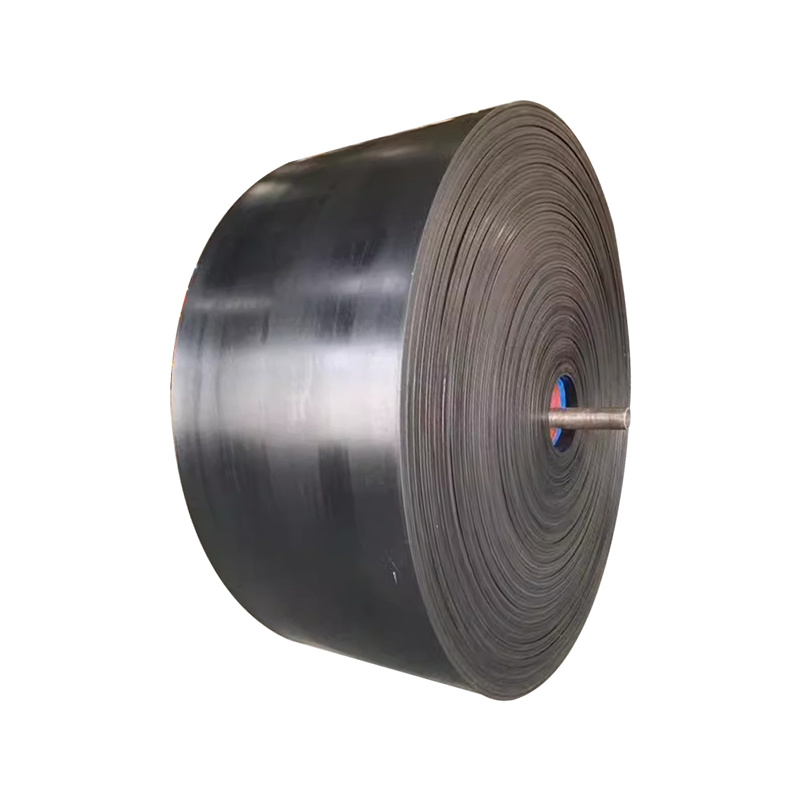 Polyester conveyor belt