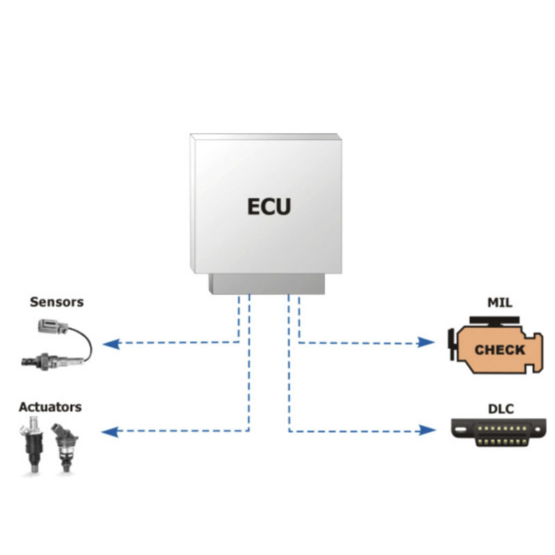 OBD Cable Assembly
