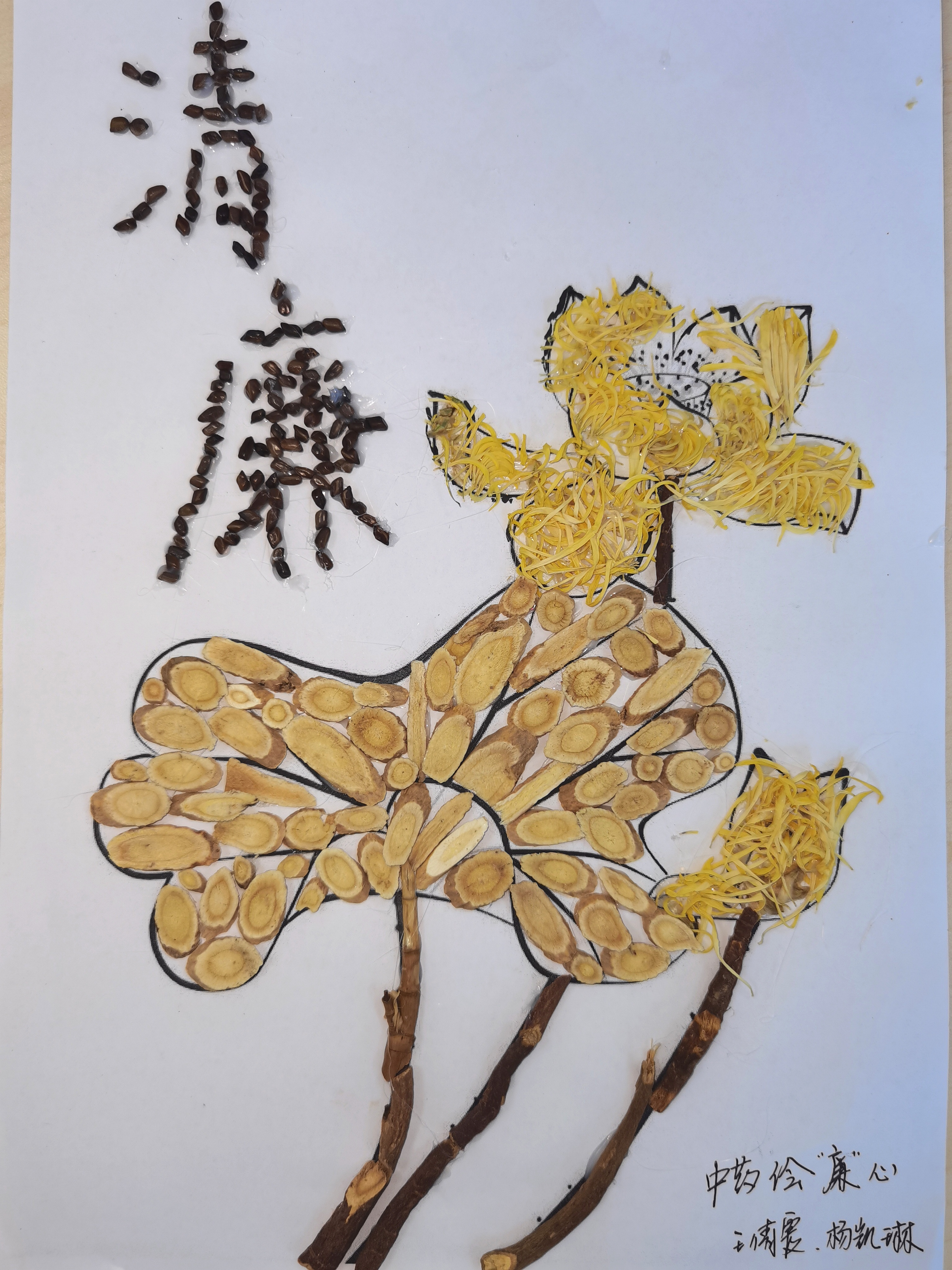 贴画-中药绘“廉”心-杨凯琳（王倩霞）-采购部经理