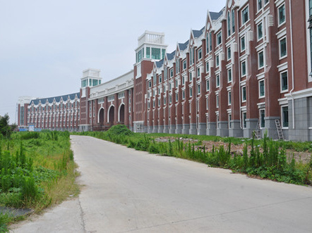 體臣衛(wèi)校工程一景