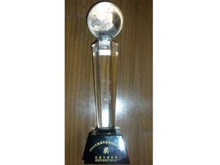 2009年紫瑯杯