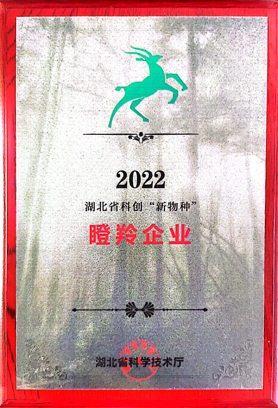 瞪羚企業(yè)