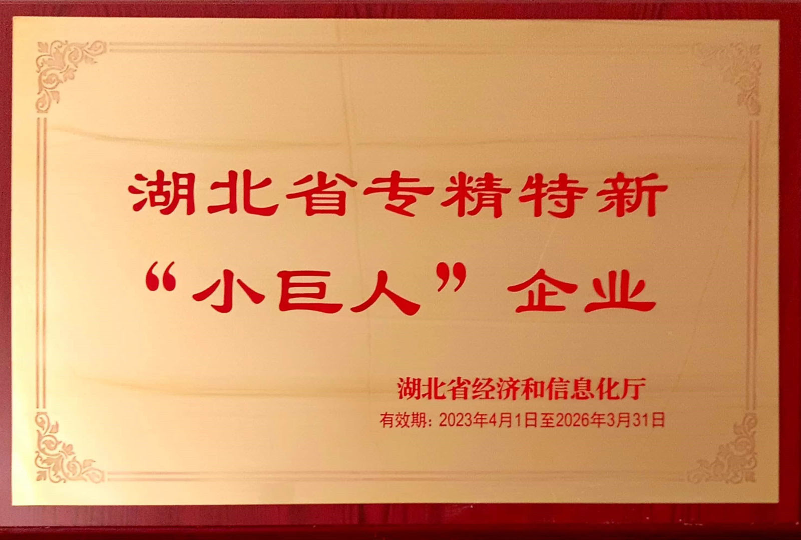 湖北省專精特新 ”小巨人”企業(yè)