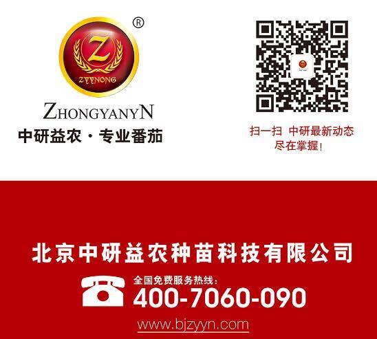 圖片名稱
