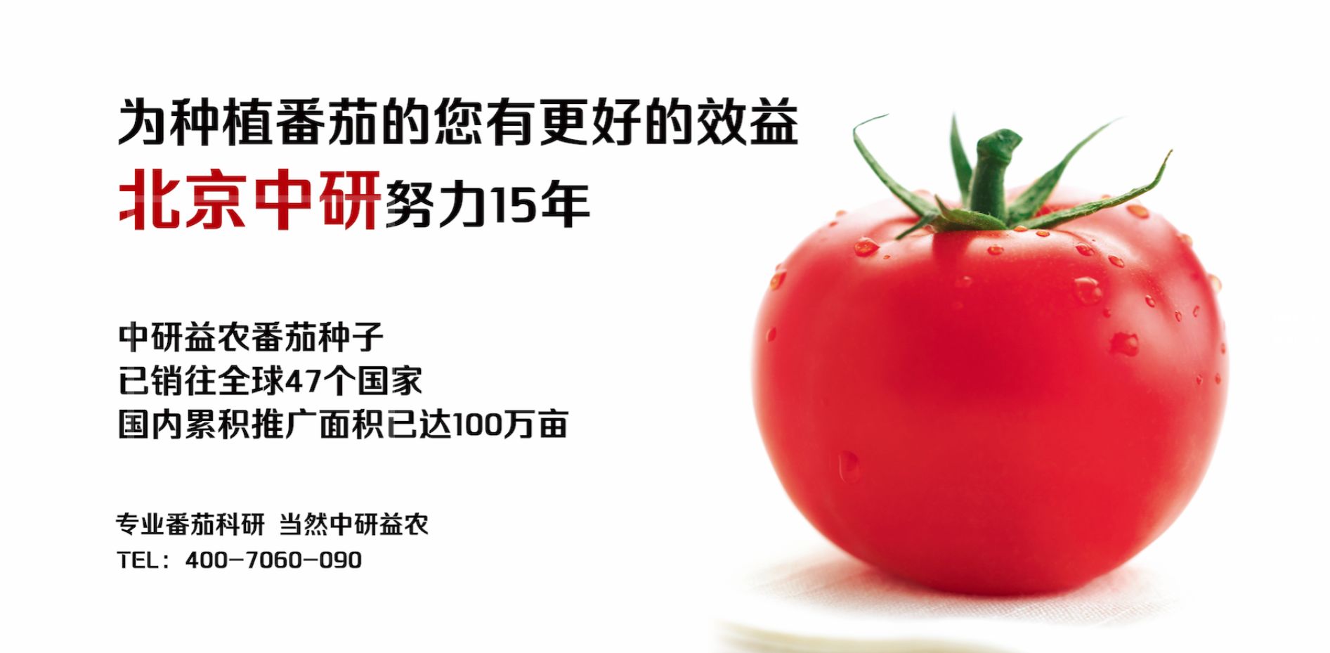北京中研