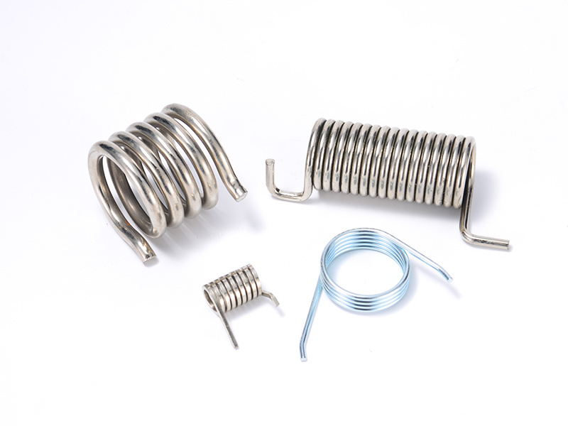 Torsion spring