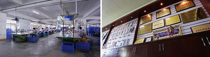 GUANGDONG DINGNENG INDUSTRY CO.,LTD.