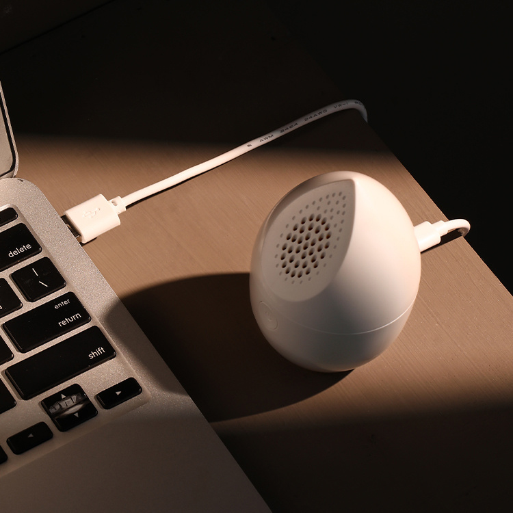 Type-C rechargeable lint remover