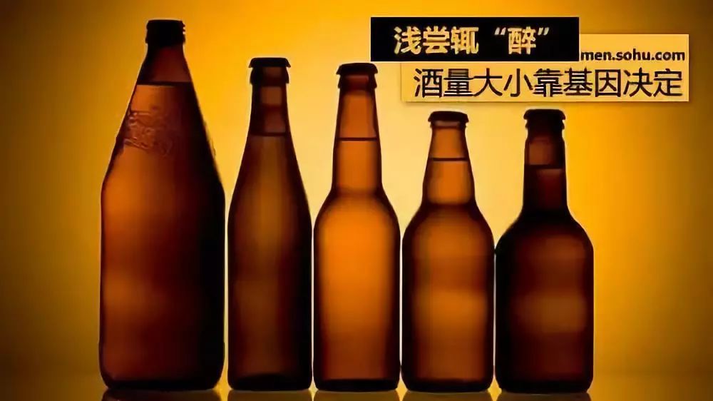 酒量究竟能不能练出来？