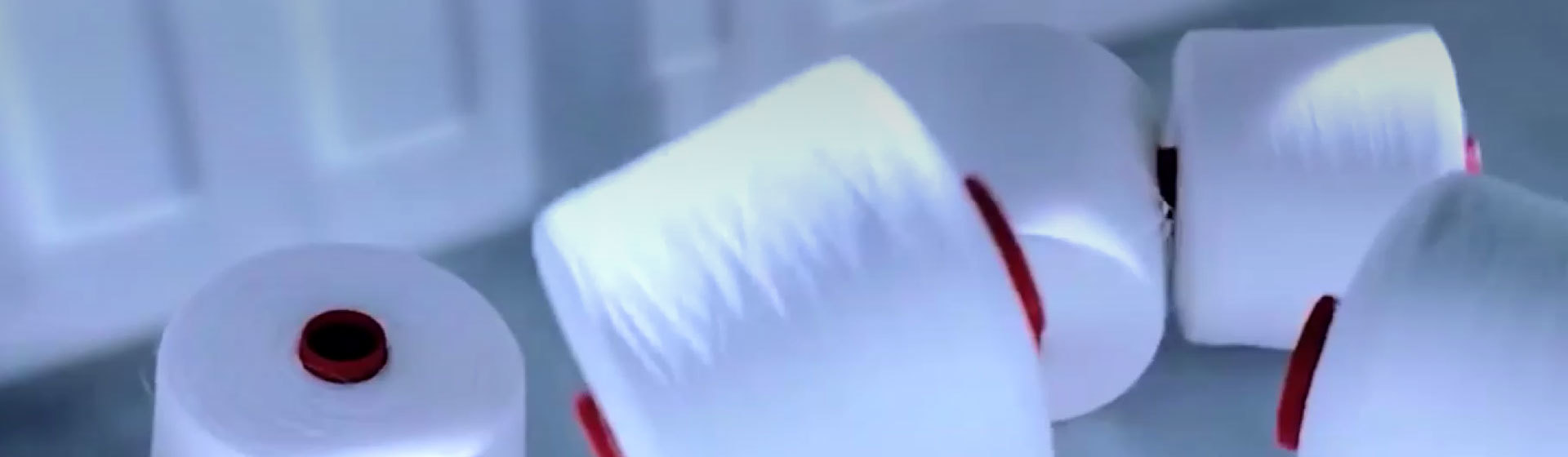 发展历程