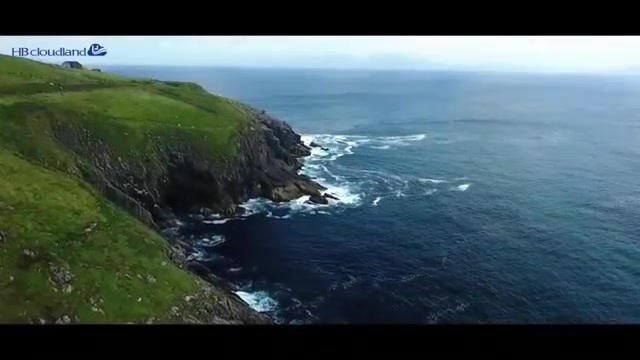 company video.mp4