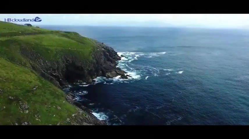 company video en.mp4