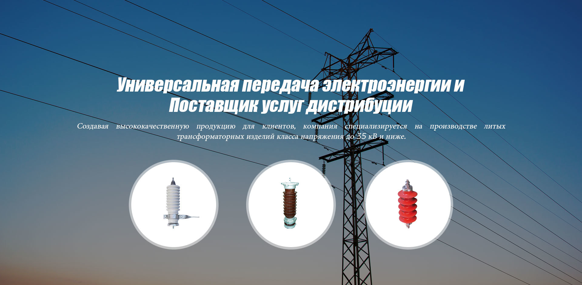 ТАЙКАЙ ЭЛЕКТРИК ПАУЭР