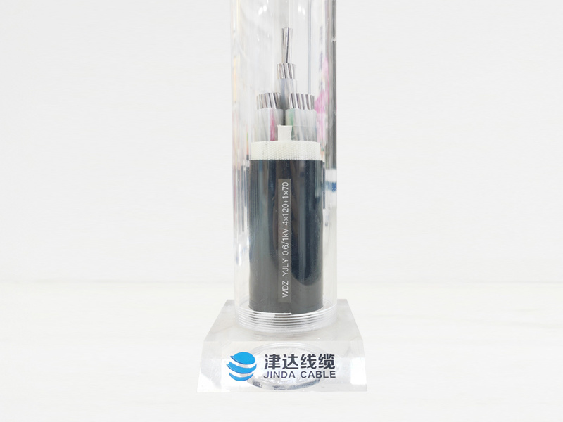 WDZ-YJLY 0.6/1kV 4×120+1×70