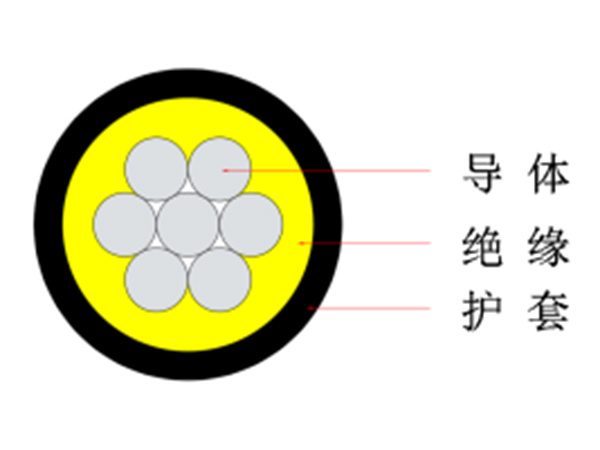 300/500V and below polyvinyl chloride insulated and polyvinyl chloride sheathed wires