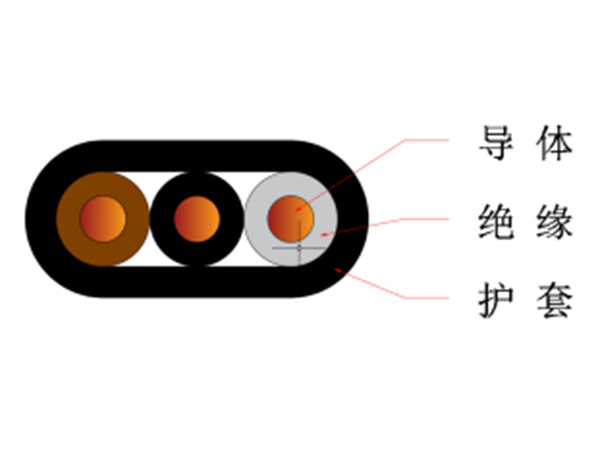 300/500V and below polyvinyl chloride insulated and polyvinyl chloride sheathed wires