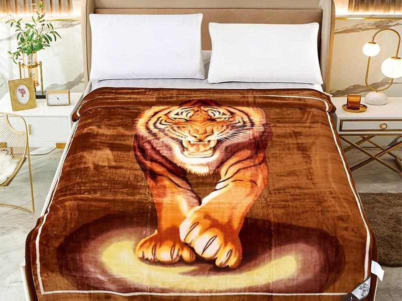 blanket