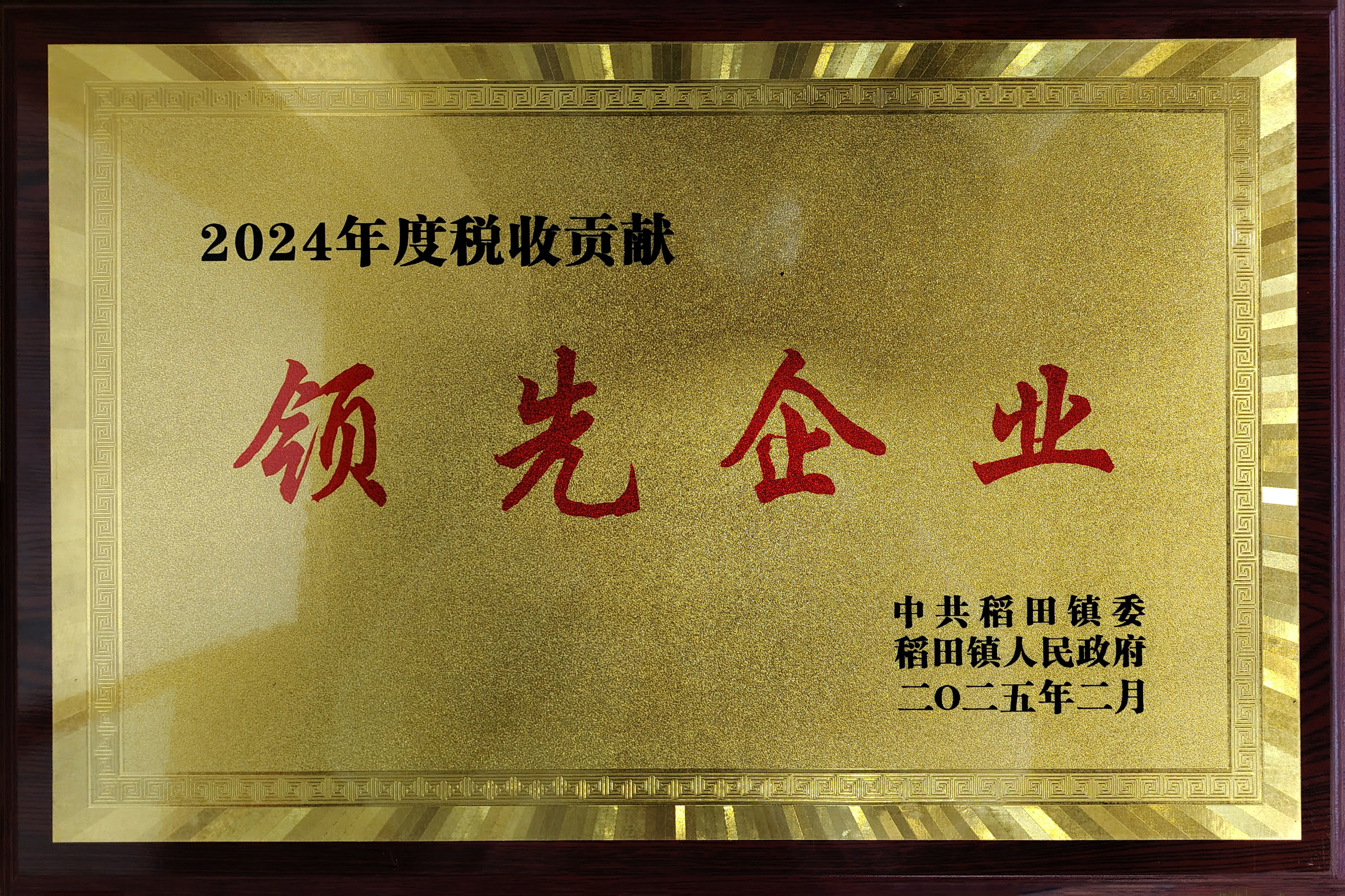 2024年度税收贡献领先企业