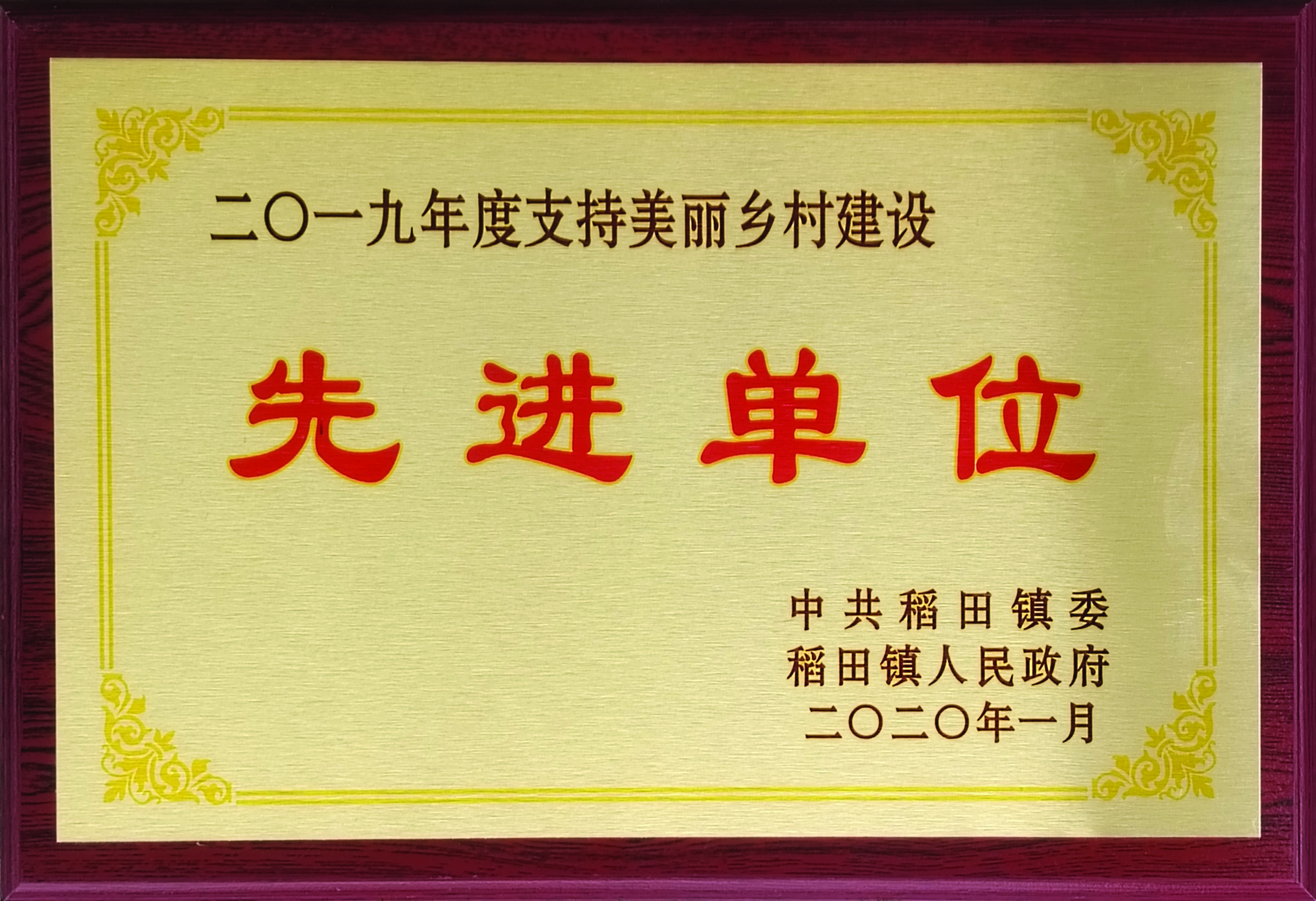 先进单位