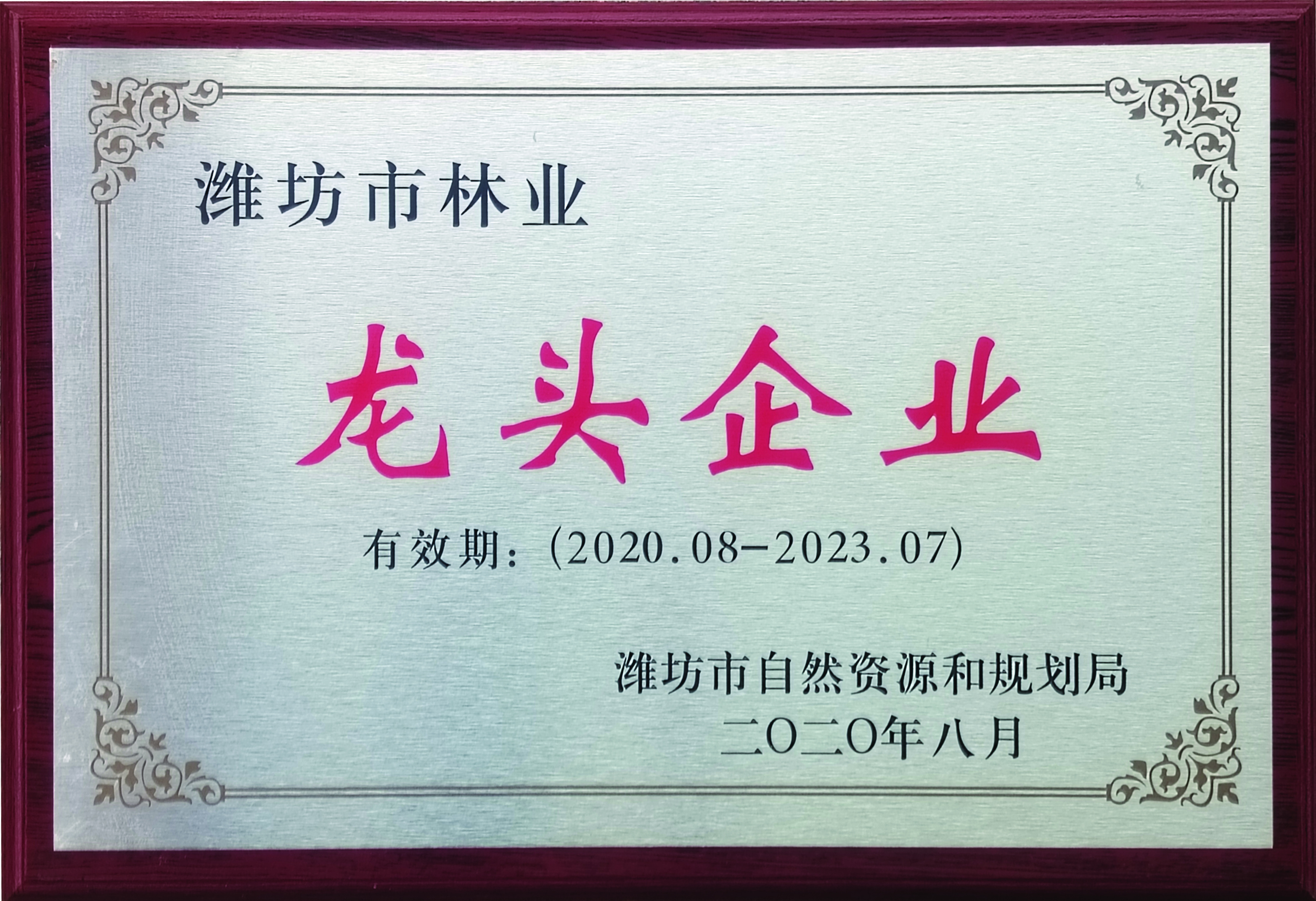 龙头企业