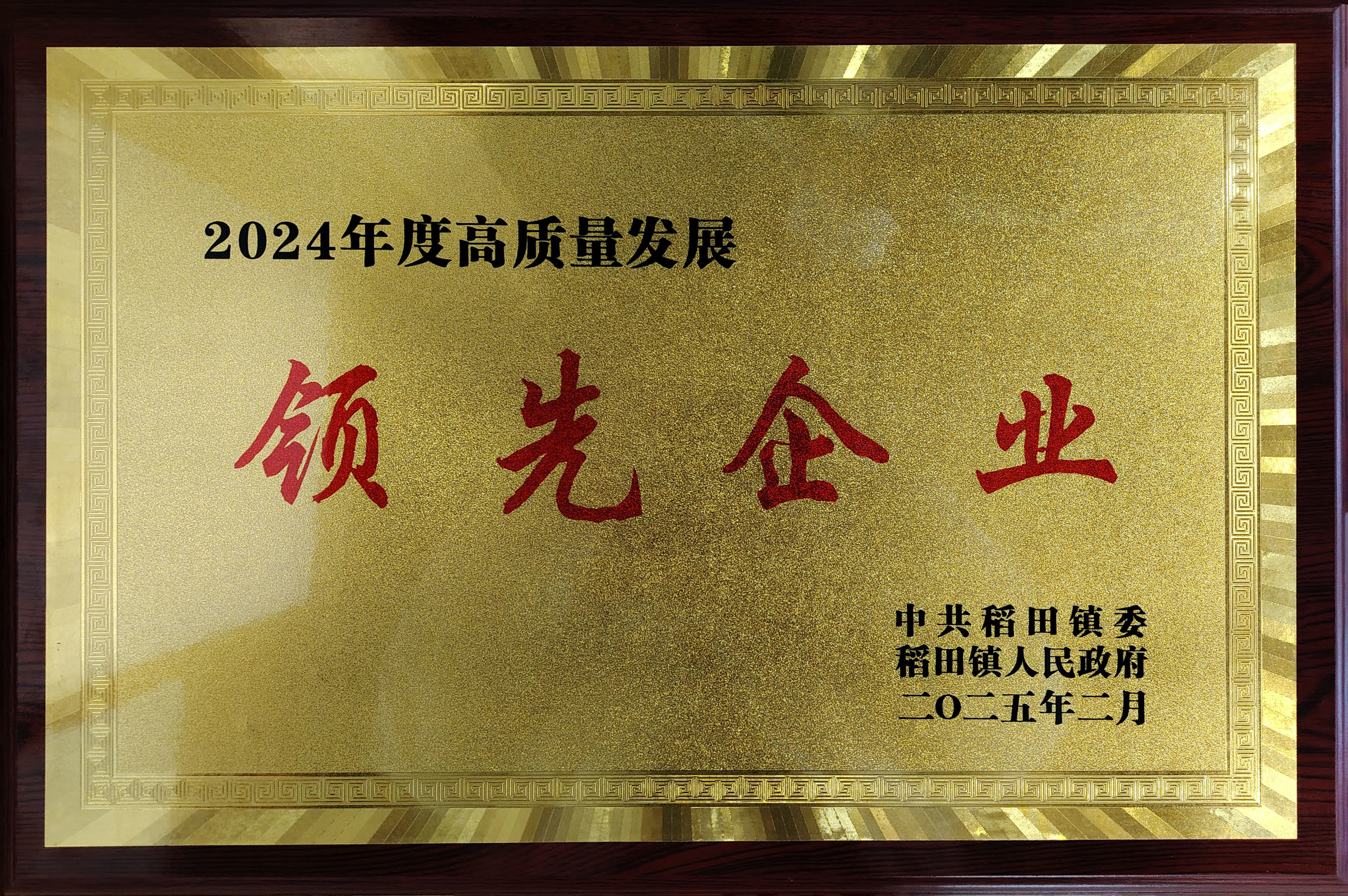 2024年度高质量发展领先企业