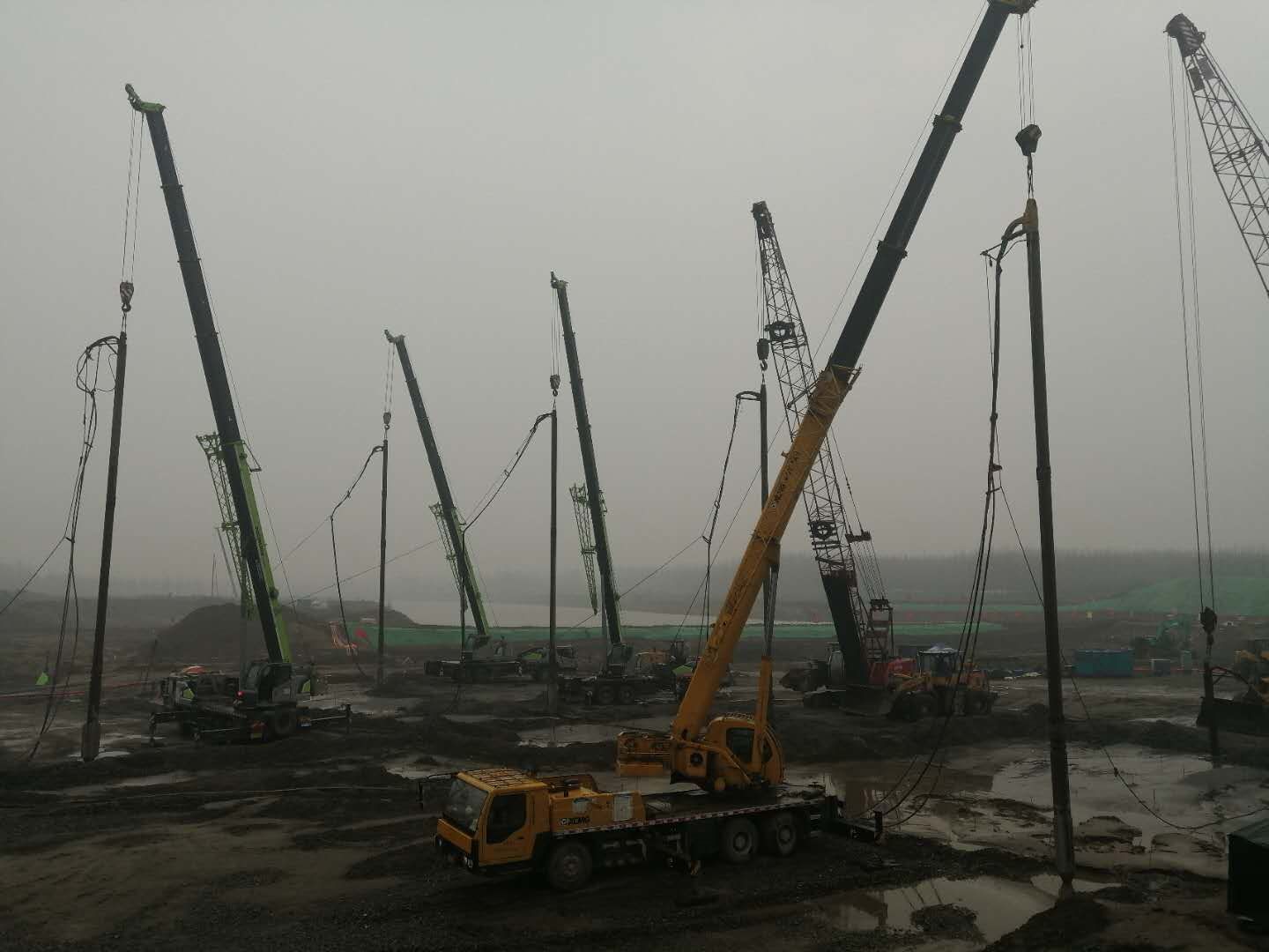 2025新澳门食材大全
