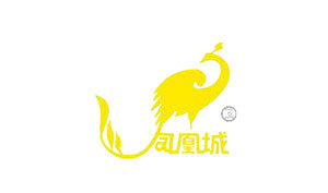合作伙伴