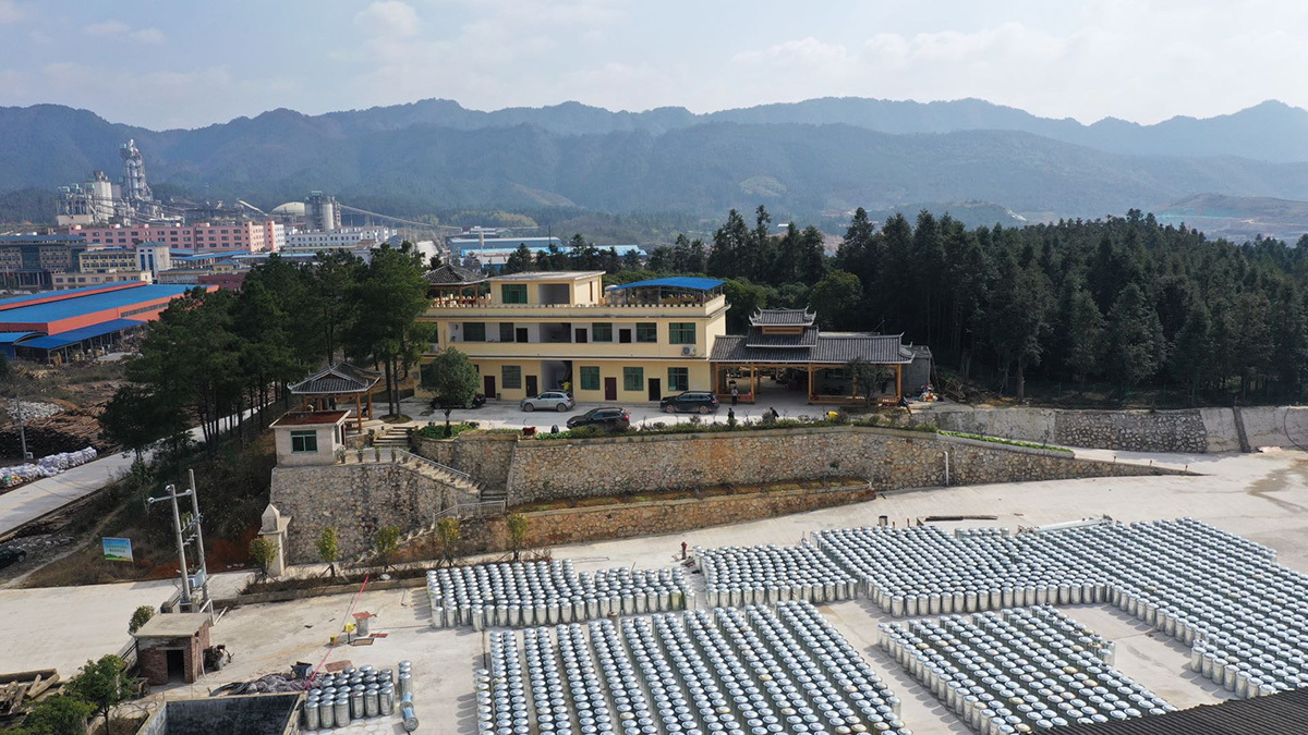 公司全景
