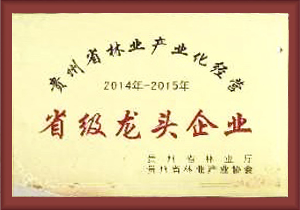 省級龍頭企業(yè)