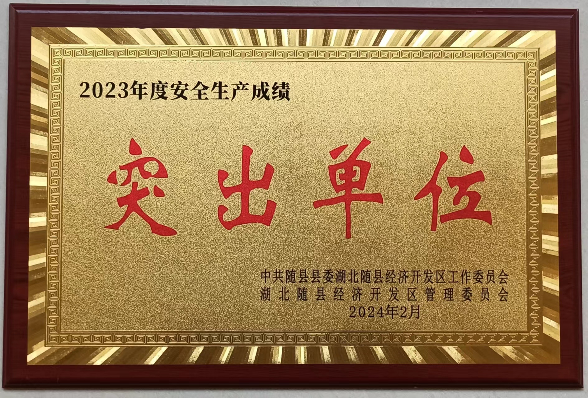 2023年度安全生产突出单位