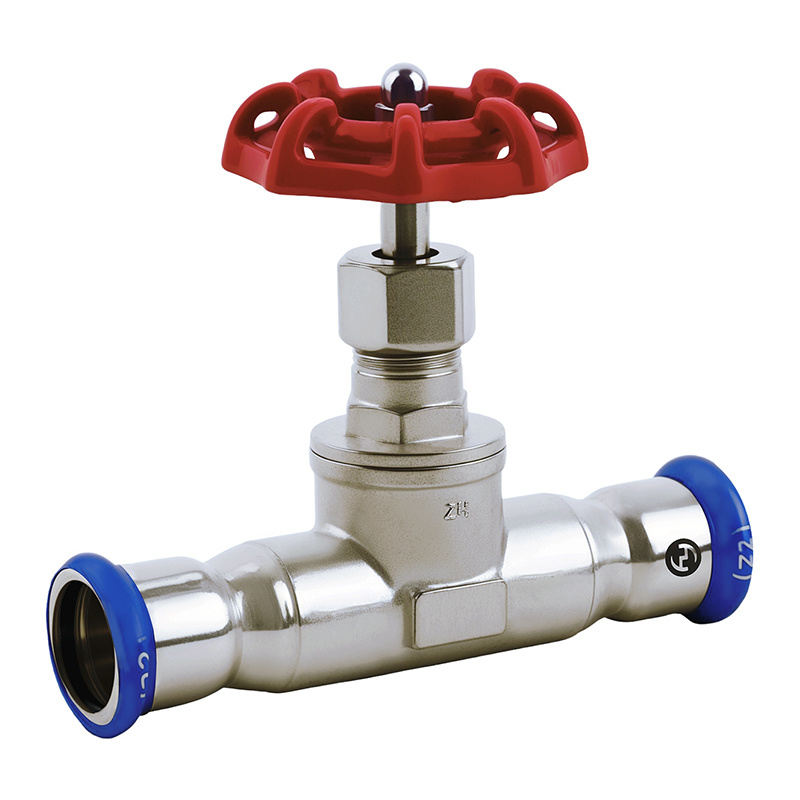 Globe Valve