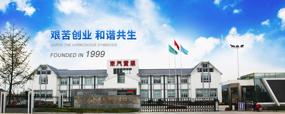 德阳市东汽实业开发有限责任公司