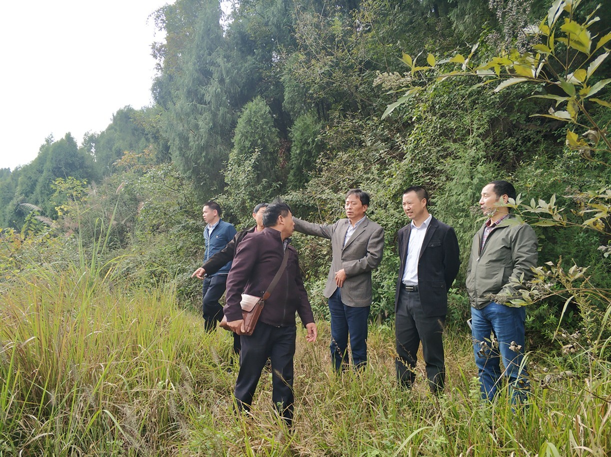 結(jié)緣大栗山 捐建幸福路