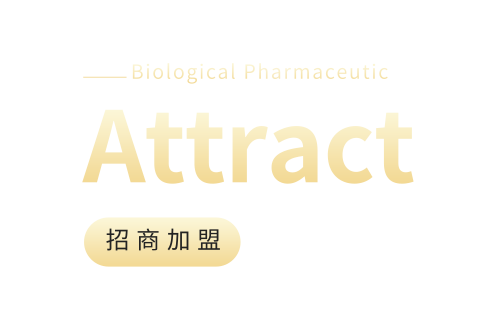 招商加盟