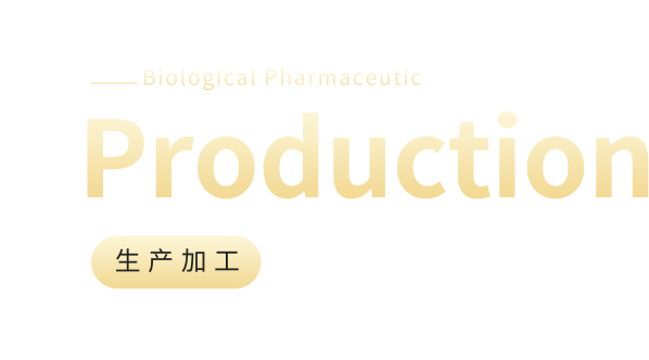 生产加工