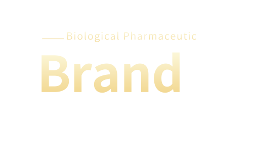 Brand Center