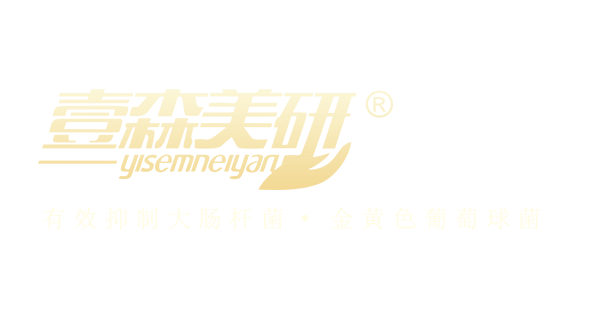 壹森美研