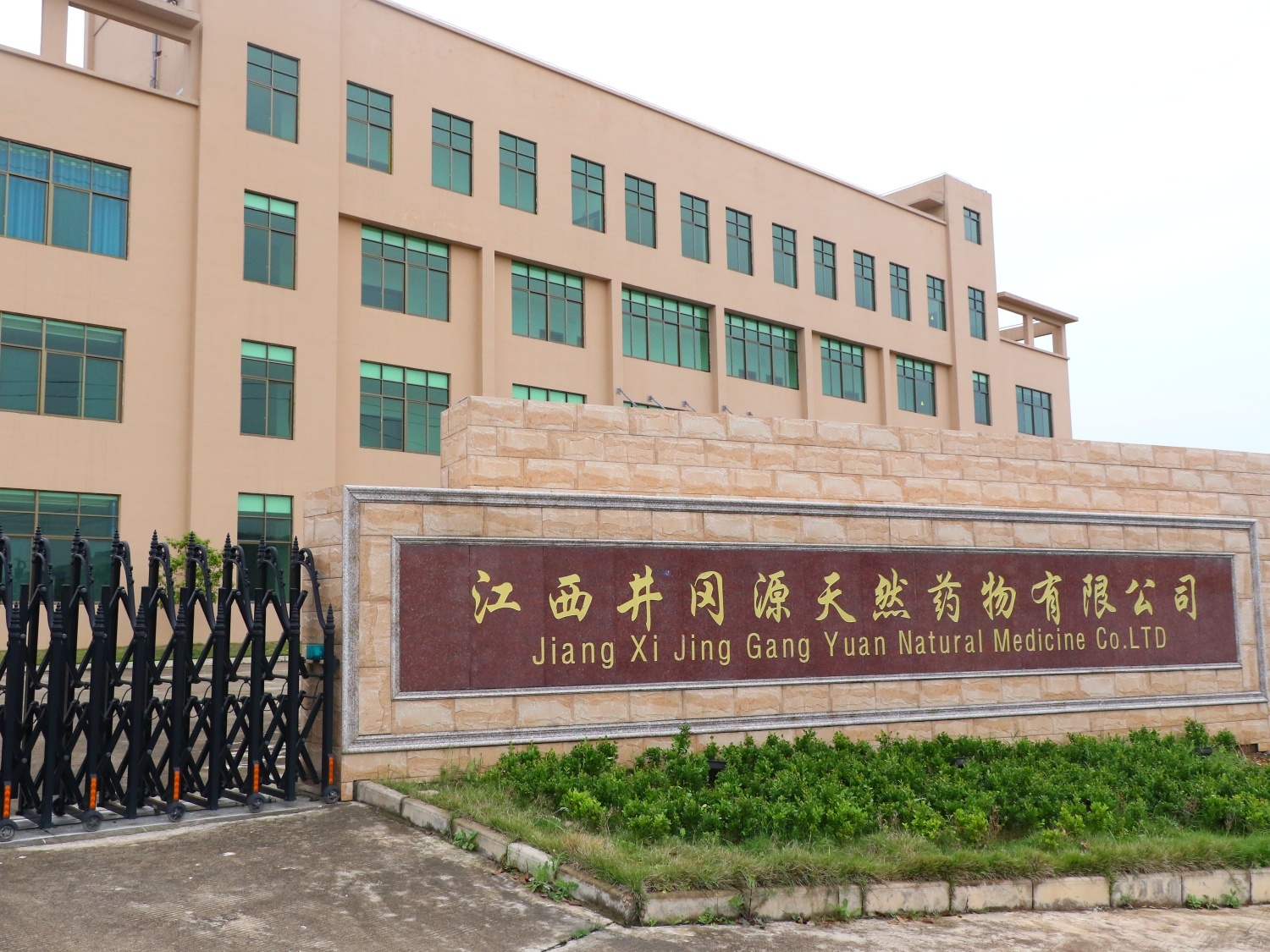 七天要闻概览：一周新闻回顾