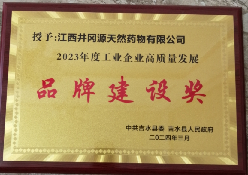 Brand Building Award