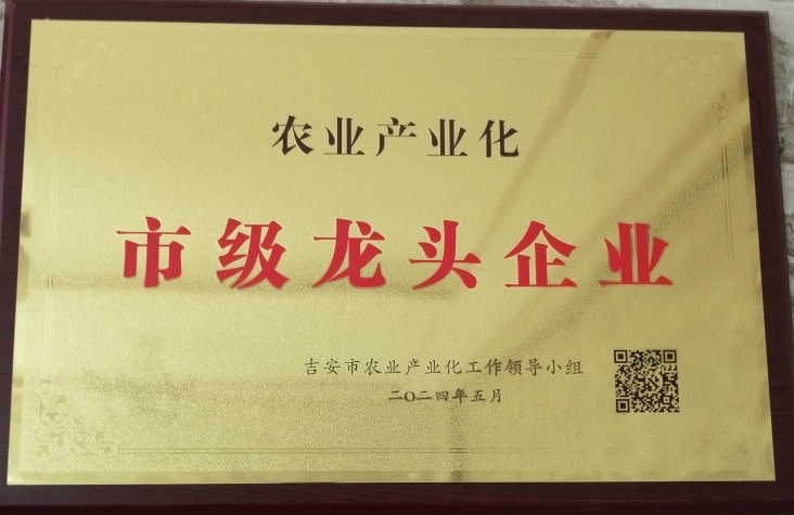 City-level leading enterprise