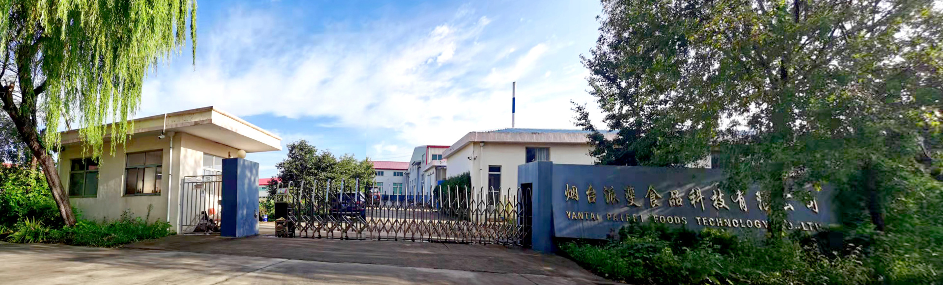 糖渍草莓丁、糖渍橙皮丁、坚果制品、果脯厂家、柠檬果脯、蜜饯制品、苹果干、蓝莓干、果脯、柠檬片、 蔓越莓干