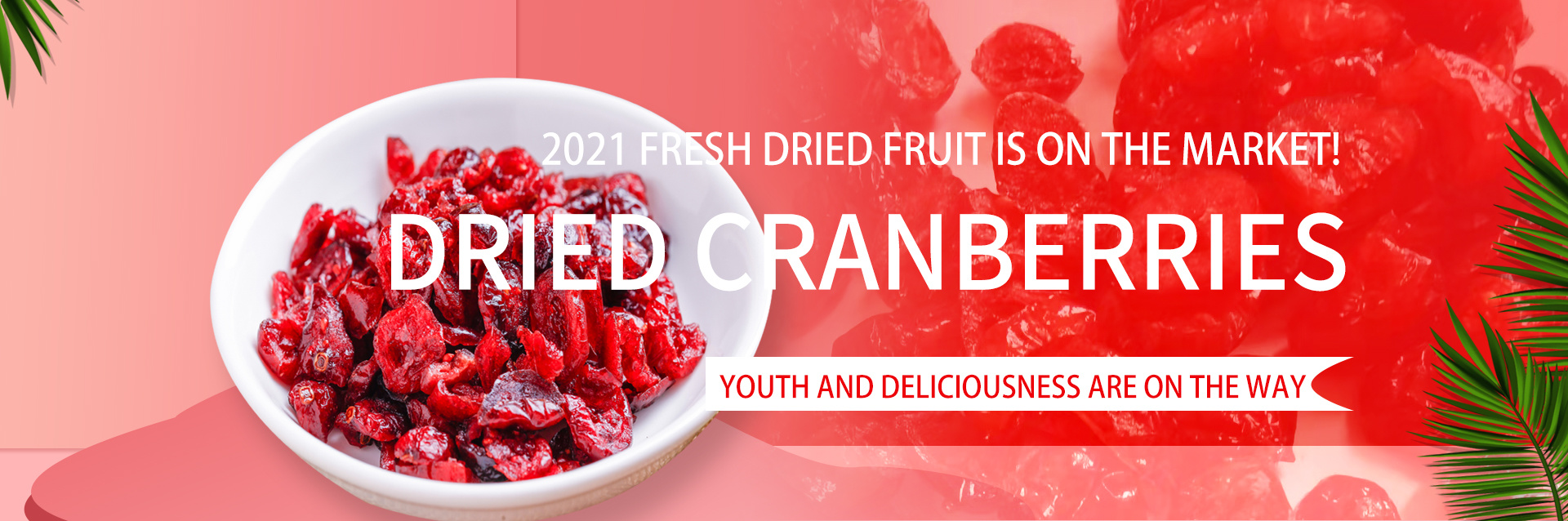 dried cranberries