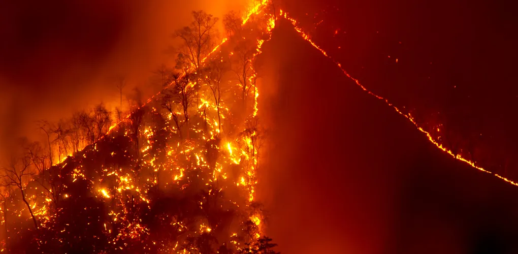 Firefighting Industry
