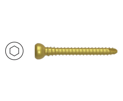 4.8mm Diameter Anatomical Femoral Screw Cortical Interclavicular Screw